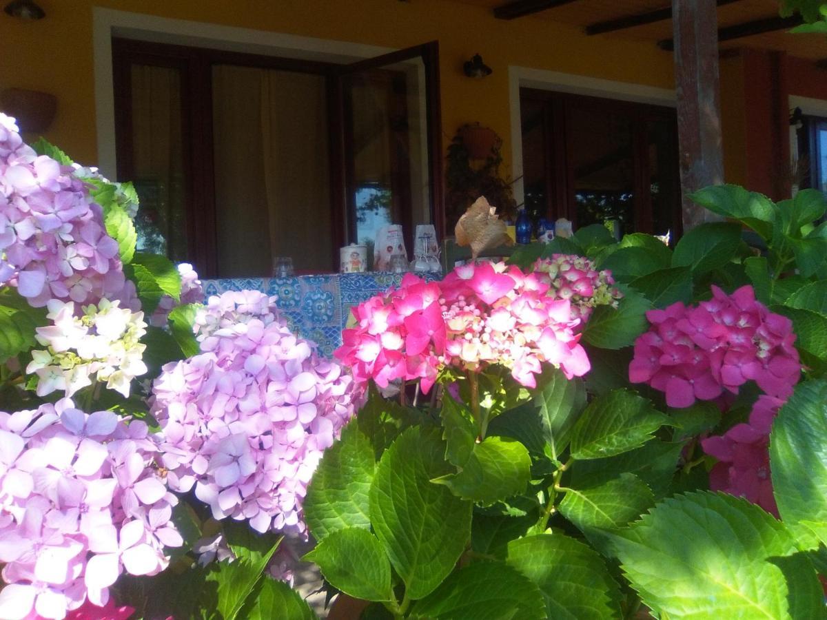 B&B Casa Per Ferie Villaggiocarovana Castiadas Extérieur photo