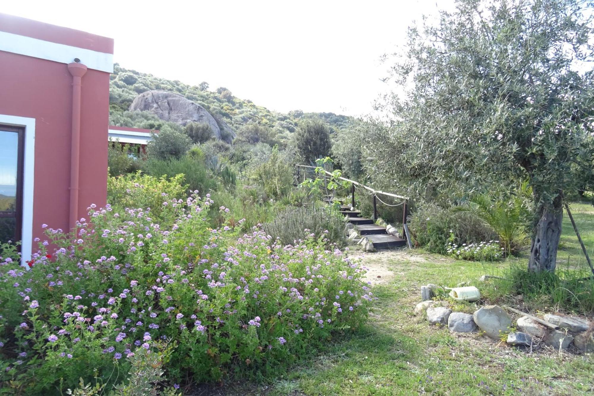 B&B Casa Per Ferie Villaggiocarovana Castiadas Extérieur photo
