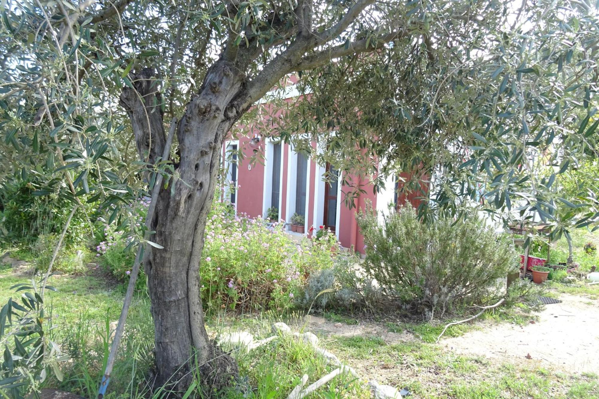 B&B Casa Per Ferie Villaggiocarovana Castiadas Extérieur photo